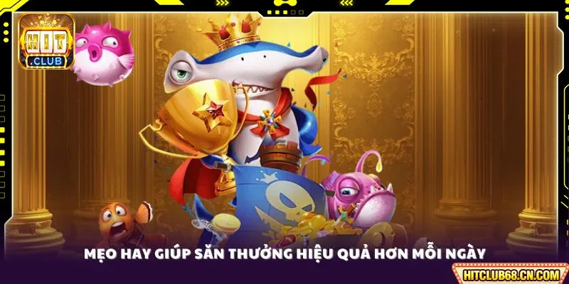 Mẹo hay giúp săn thưởng hiệu quả hơn mỗi ngày